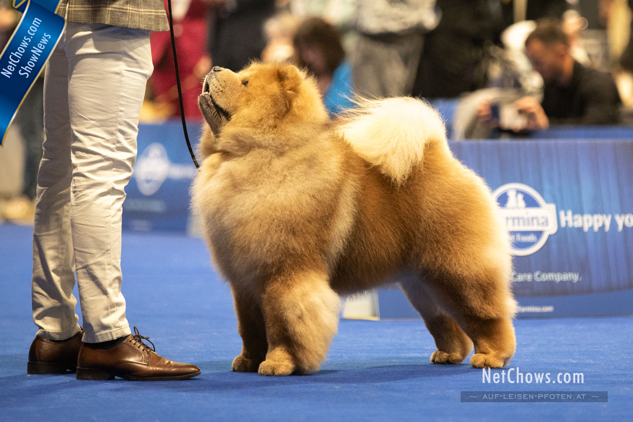 WDS 2024 – Croatia, Zagreb