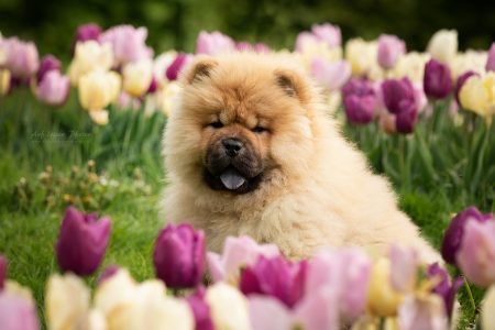 Lara Croft of the Blue Mystery Lara Croft of the Blue Mystery