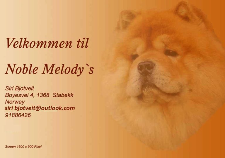 Noble Melodys 768x541