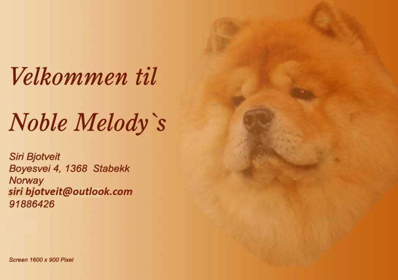 Noble Melodys 800x563