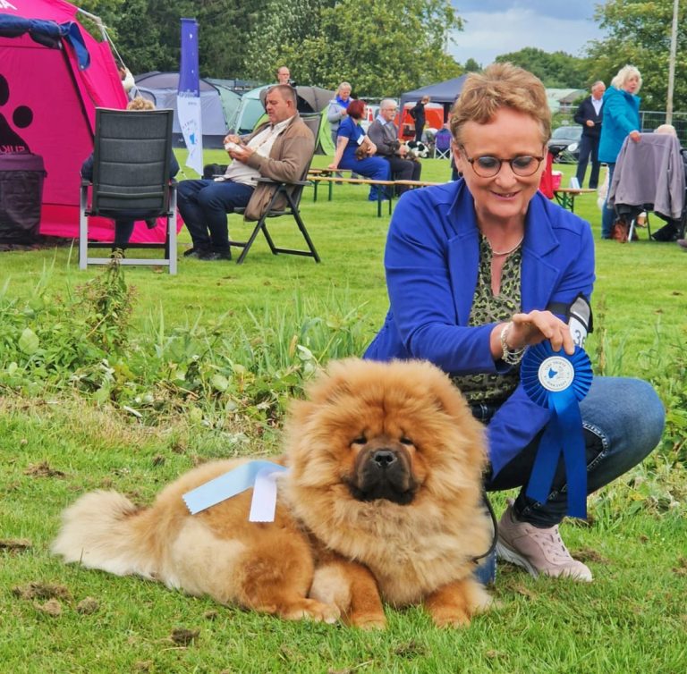 IMG 20240707 203144 768x754