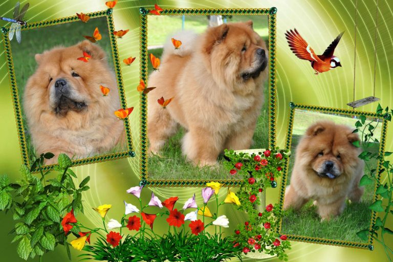 2872693815162714896 966877f05c3cef87686400a44df9d613 1 768x512