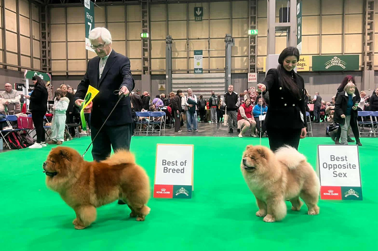 CRUFTS 2026