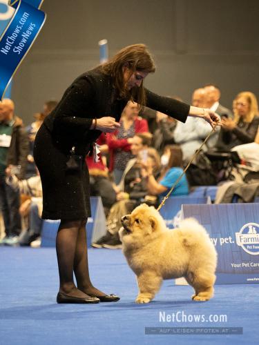 Best Minor Puppy - Caramella Shen Te Chows