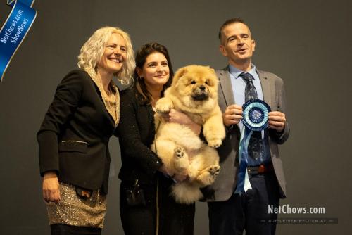 Best Minor Puppy - Caramella Shen Te Chows
