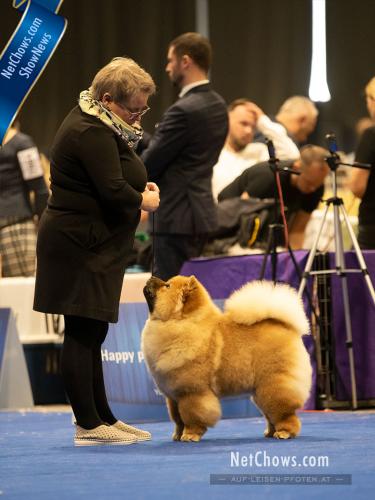 BEST Puppy Female, PUPPY WORLD WINNER - Oriana Cancrimo