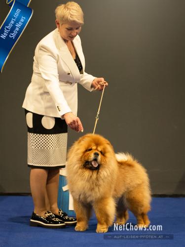Res. CACIB bitch – Vienna Lietuvos Liutas