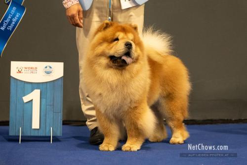 Res. CACIB Dog Open Class - One Star Foris Ayan Love