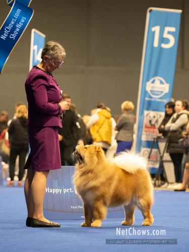 Champion Class Excellent 3 -Notorious Star Brian Adams
