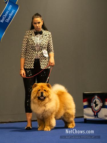 Champion Class Excellent 4 - Italian Khan for Blue Mystery